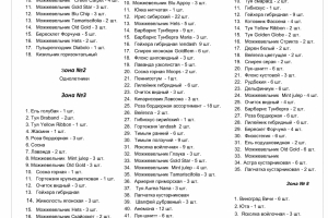 6 project2- vedomost